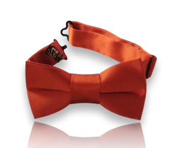 Bow ties for boys