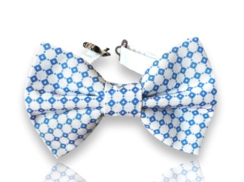 bow tie