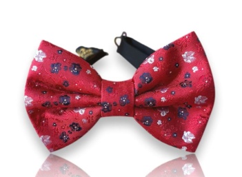 bow tie