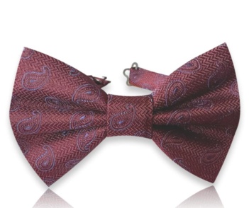 Neven burgundy silk jacquard bow tie with blue and violet paisley motifs and a textured chevron background.